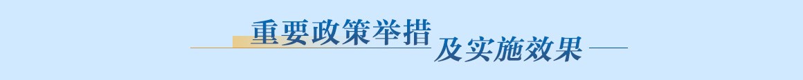 重要政策舉措及實(shí)施效果